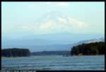 Mount Hood as seen from the Columbia River (21kb)