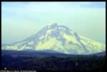 Mount Hood (22kb)