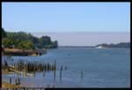 Oregon Coastal River (23kb)